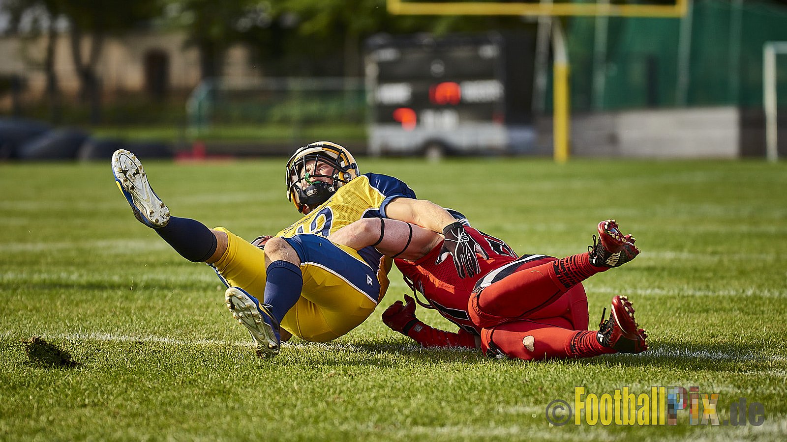 Düsseldorf Panther vs. Elmshorn Fighting Pirates - DPantherVsElmshornFightingPirates