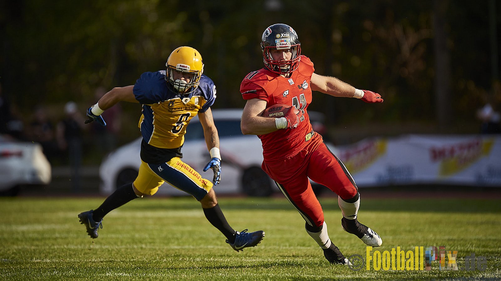 Düsseldorf Panther vs. Elmshorn Fighting Pirates - DPantherVsElmshornFightingPirates
