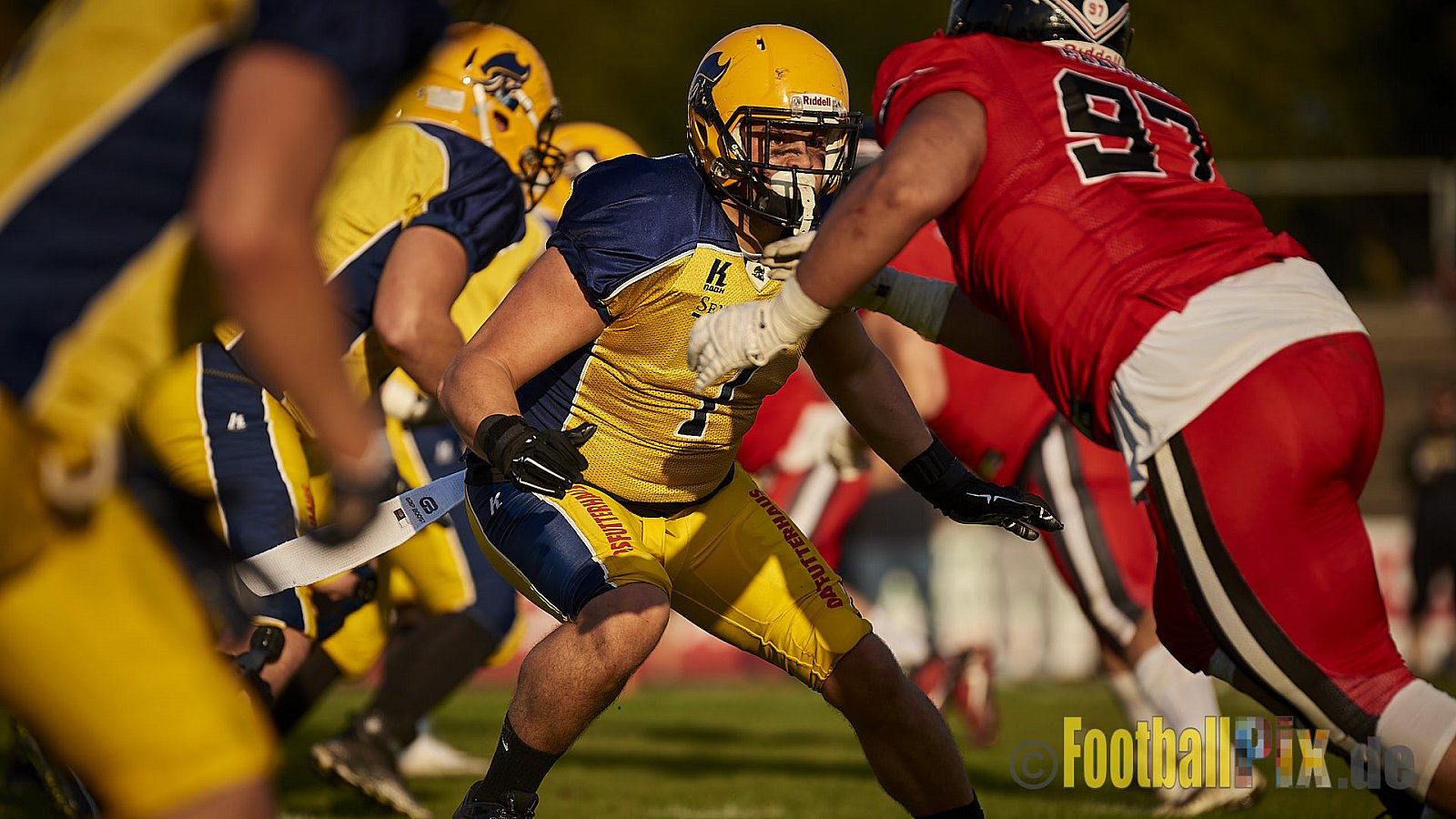 Düsseldorf Panther vs. Elmshorn Fighting Pirates - DPantherVsElmshornFightingPirates
