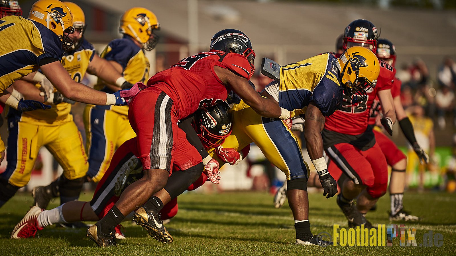 Düsseldorf Panther vs. Elmshorn Fighting Pirates - DPantherVsElmshornFightingPirates