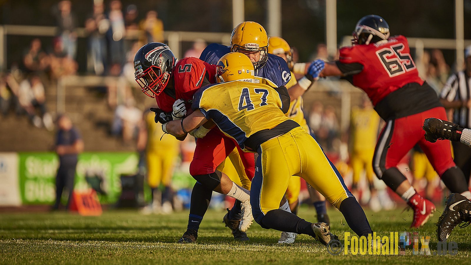 Düsseldorf Panther vs. Elmshorn Fighting Pirates - DPantherVsElmshornFightingPirates