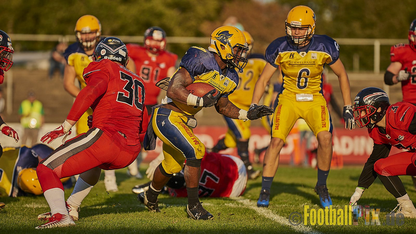 Düsseldorf Panther vs. Elmshorn Fighting Pirates - DPantherVsElmshornFightingPirates