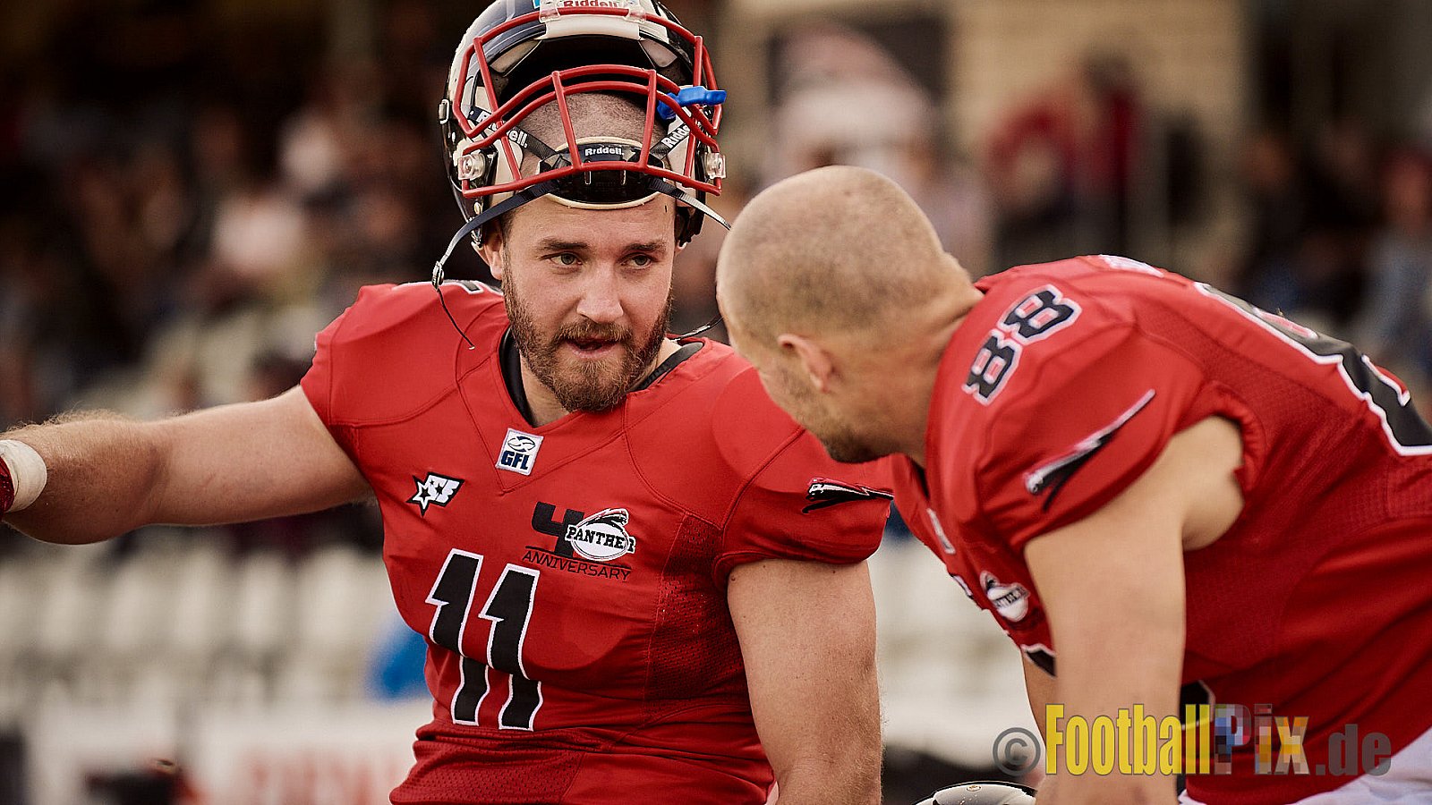 Düsseldorf Panther vs. Elmshorn Fighting Pirates - DPantherVsElmshornFightingPirates