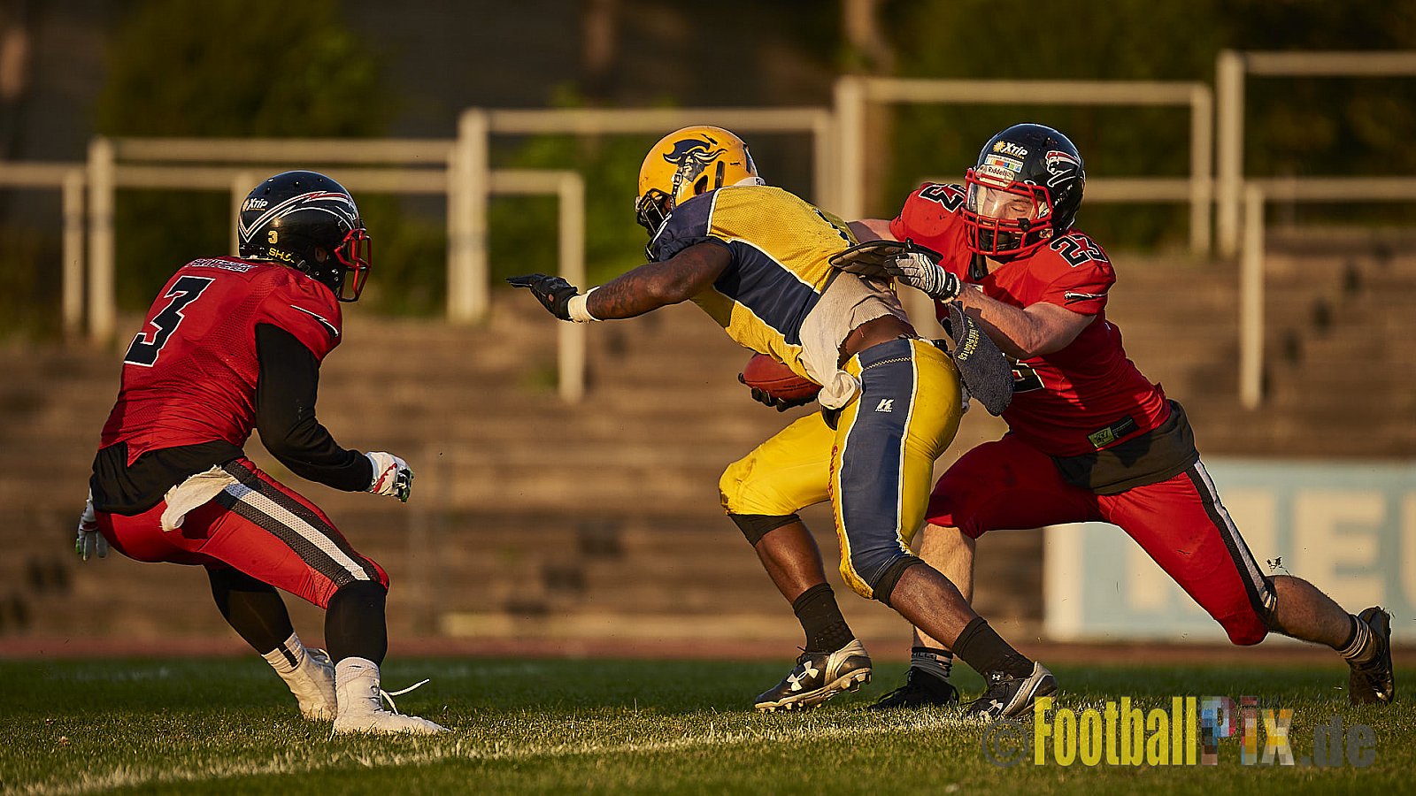 Düsseldorf Panther vs. Elmshorn Fighting Pirates - DPantherVsElmshornFightingPirates