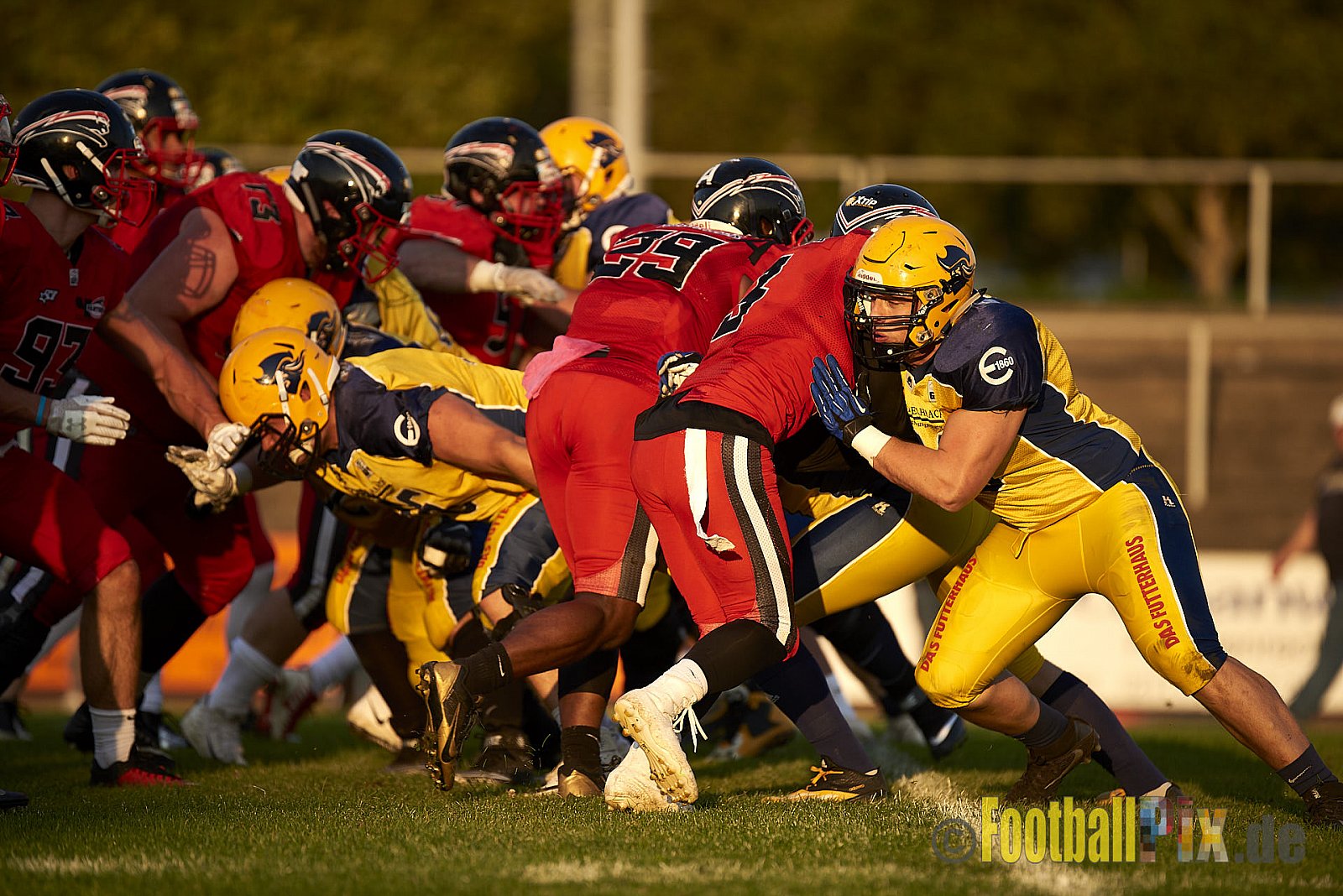Düsseldorf Panther vs. Elmshorn Fighting Pirates - DPantherVsElmshornFightingPirates