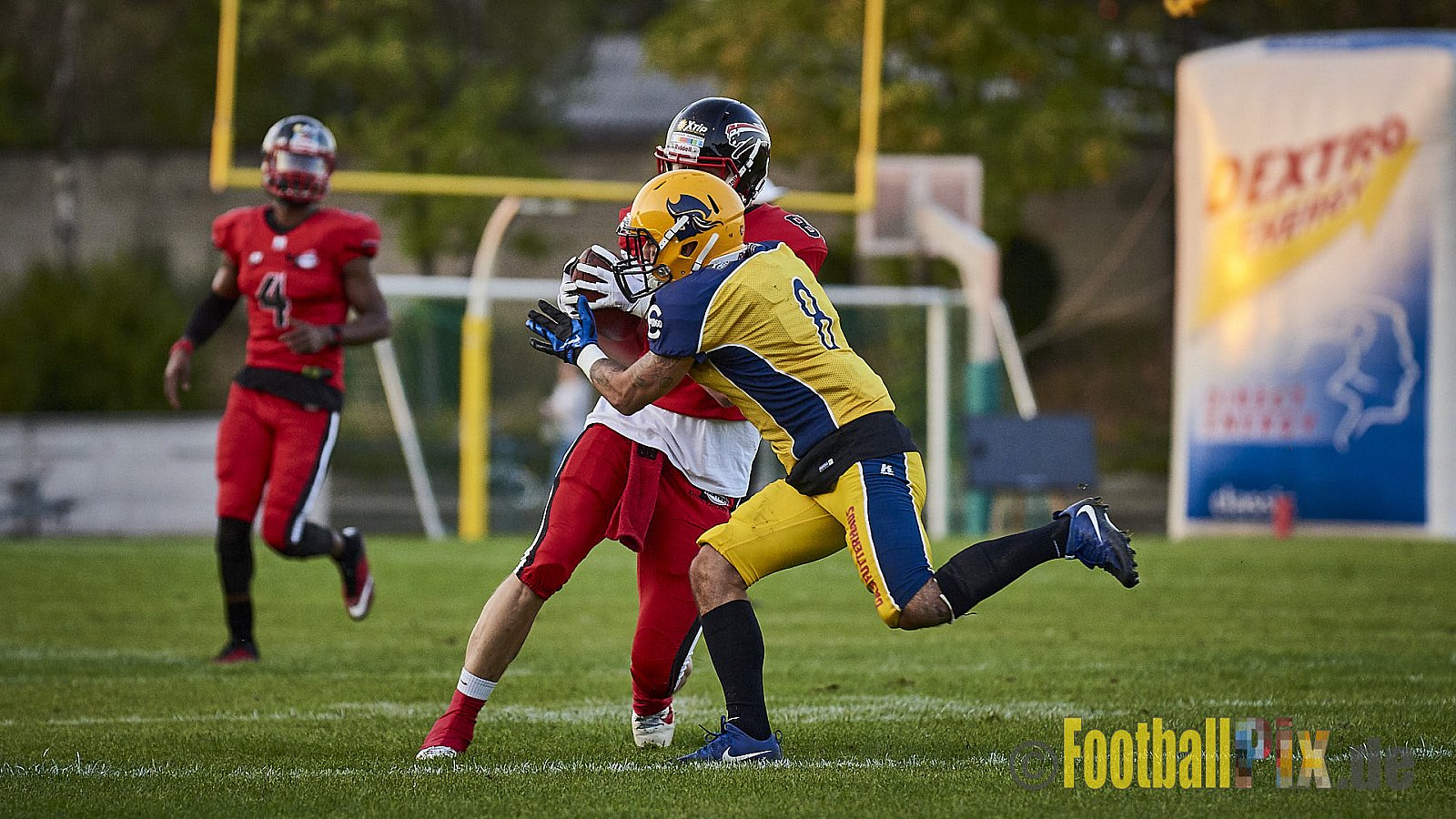 Düsseldorf Panther vs. Elmshorn Fighting Pirates - DPantherVsElmshornFightingPirates