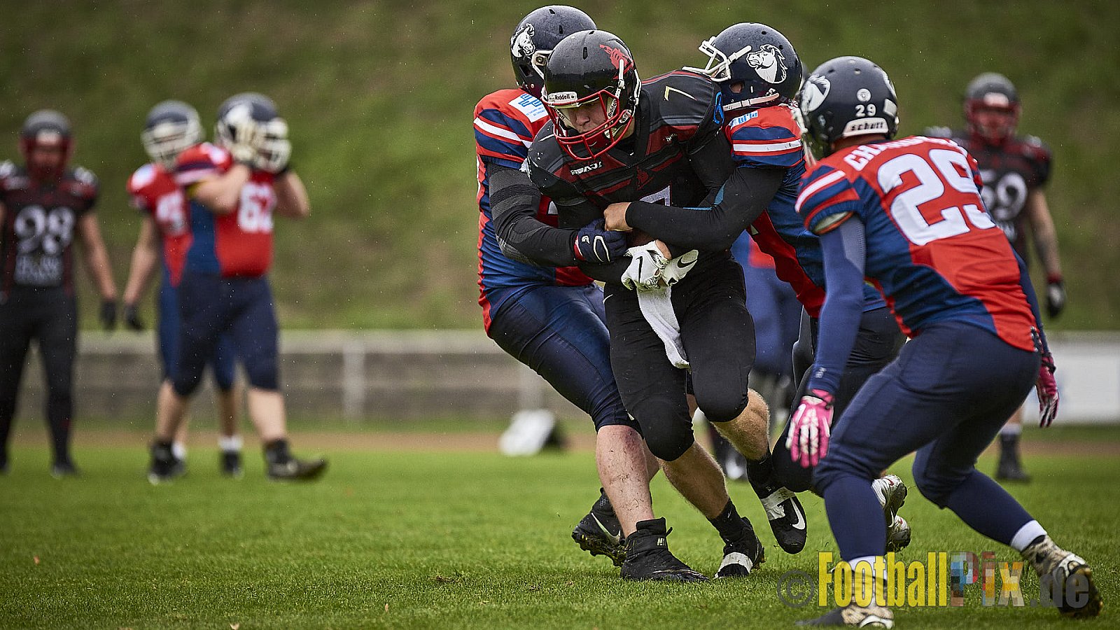 Recklinghausen Chargers vs. Siegen Sentinels - RecklinghausenChargersVsSiegenSentinels