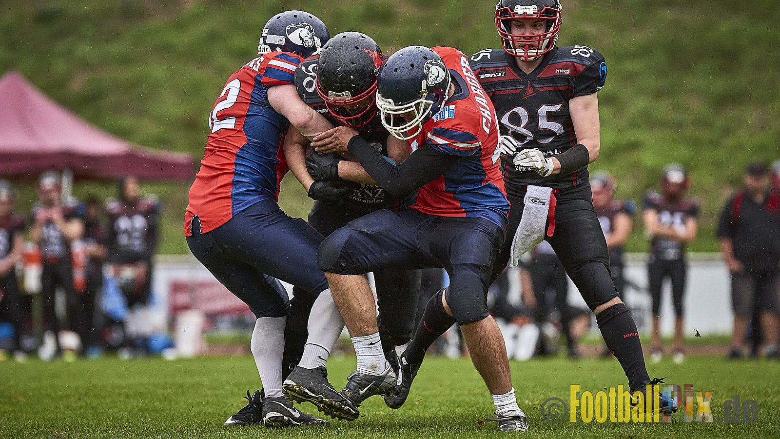Recklinghausen Chargers vs. Siegen Sentinels - RecklinghausenChargersVsSiegenSentinels