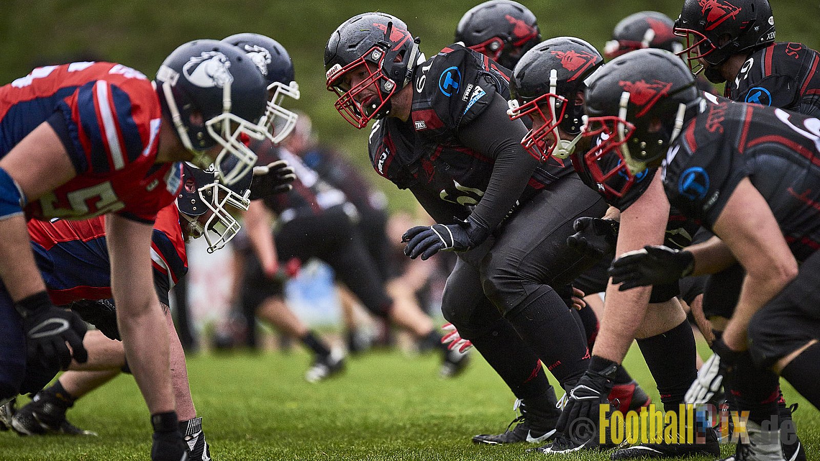 Recklinghausen Chargers vs. Siegen Sentinels - RecklinghausenChargersVsSiegenSentinels