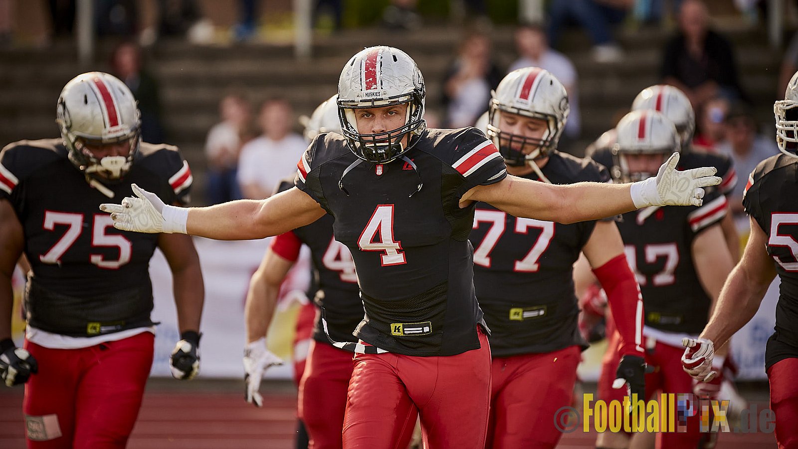Düsseldorf Panther vs. Hamburg Huskies - RelegationDPantherVsHamburgHuskies