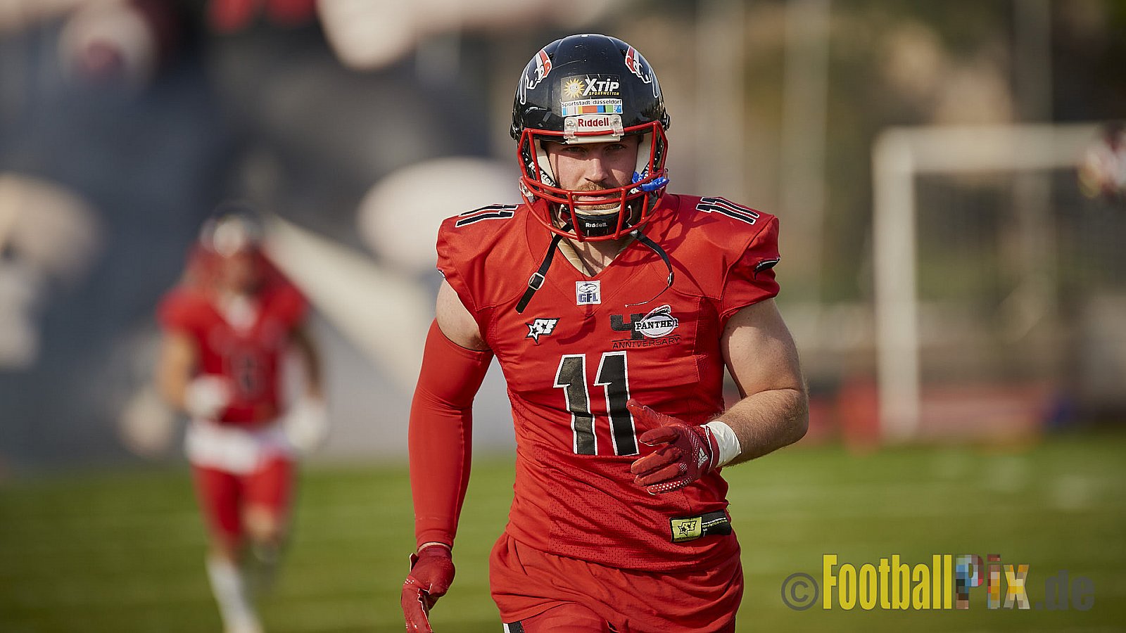 Düsseldorf Panther vs. Hamburg Huskies - RelegationDPantherVsHamburgHuskies