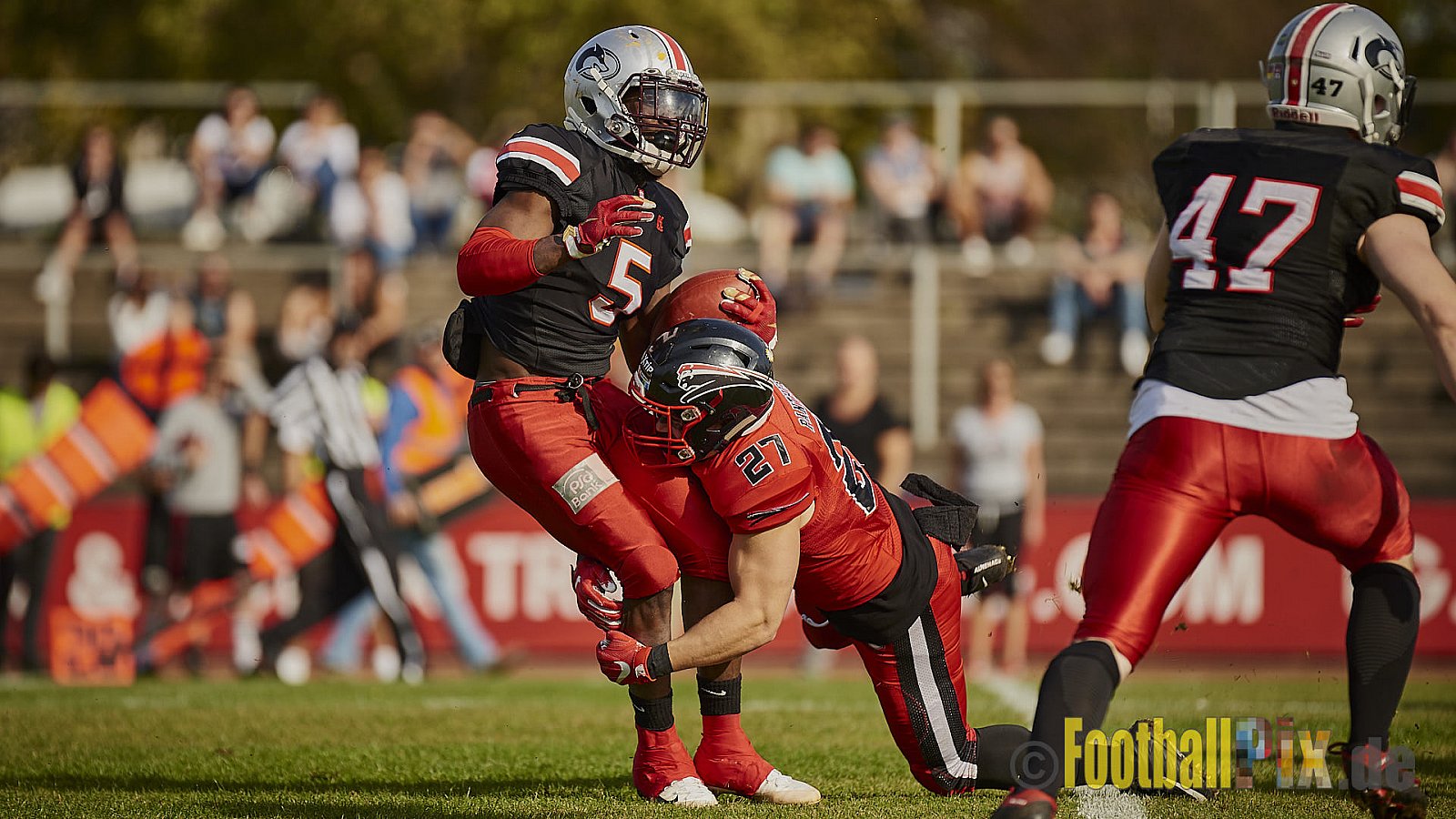 Düsseldorf Panther vs. Hamburg Huskies - RelegationDPantherVsHamburgHuskies