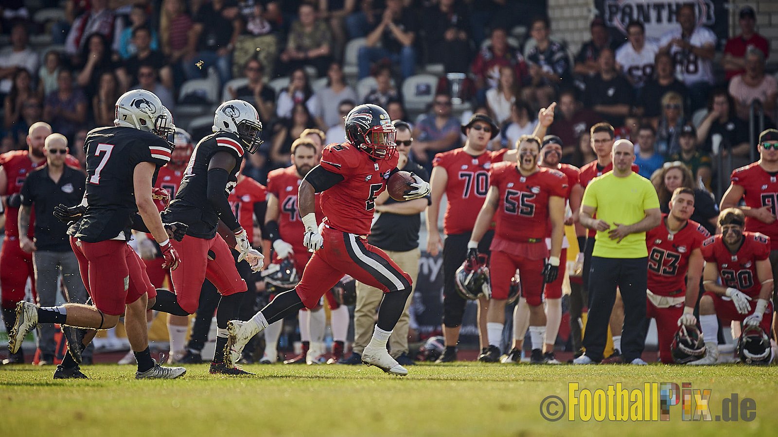 Düsseldorf Panther vs. Hamburg Huskies - RelegationDPantherVsHamburgHuskies