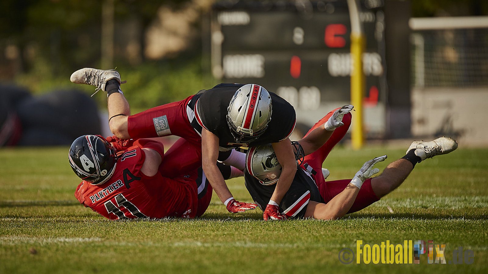 Düsseldorf Panther vs. Hamburg Huskies - RelegationDPantherVsHamburgHuskies