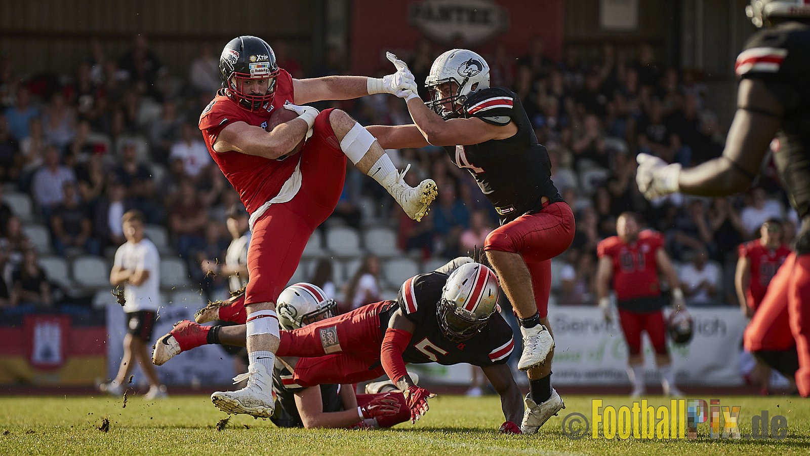 Düsseldorf Panther vs. Hamburg Huskies - RelegationDPantherVsHamburgHuskies