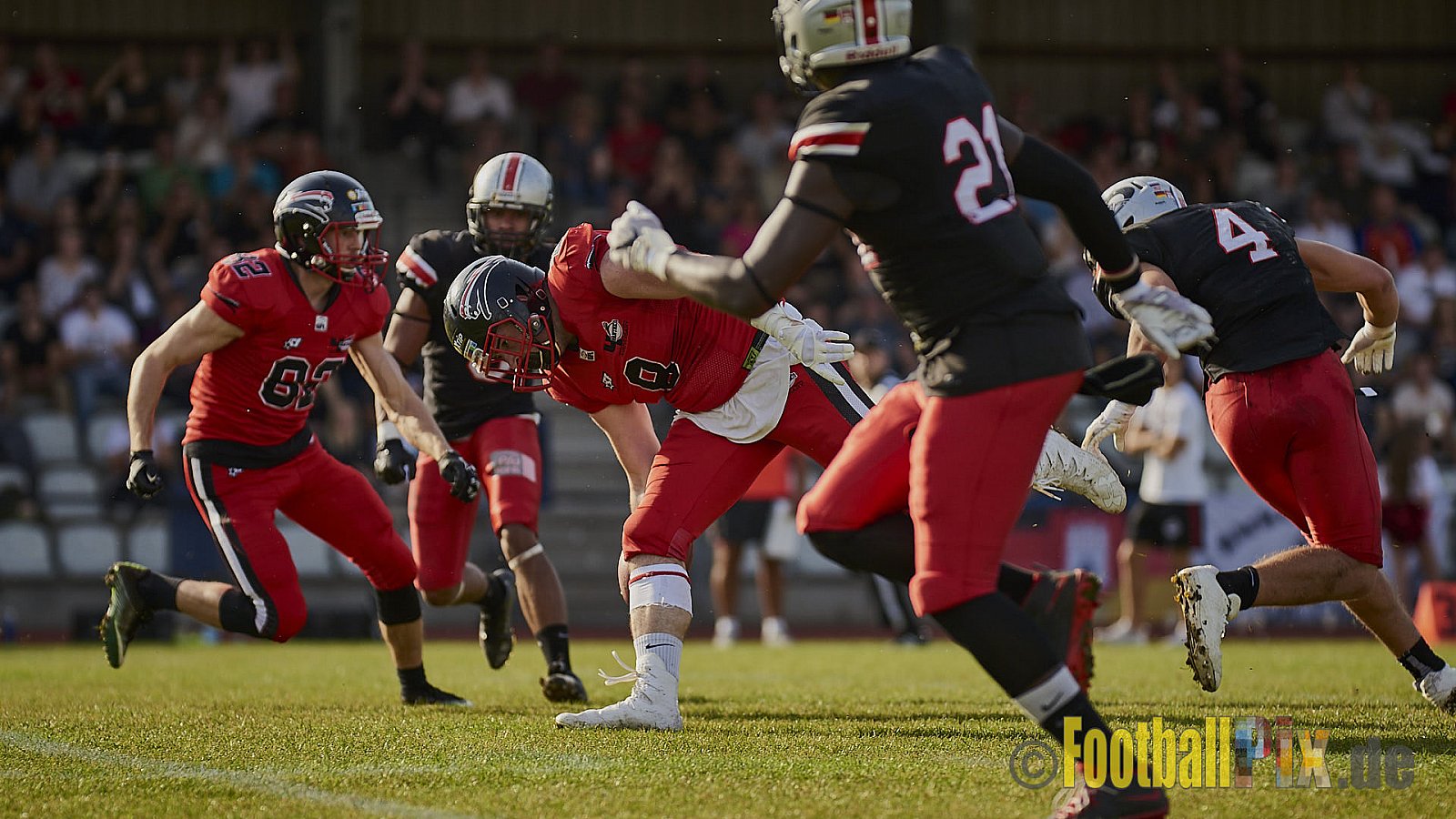 Düsseldorf Panther vs. Hamburg Huskies - RelegationDPantherVsHamburgHuskies