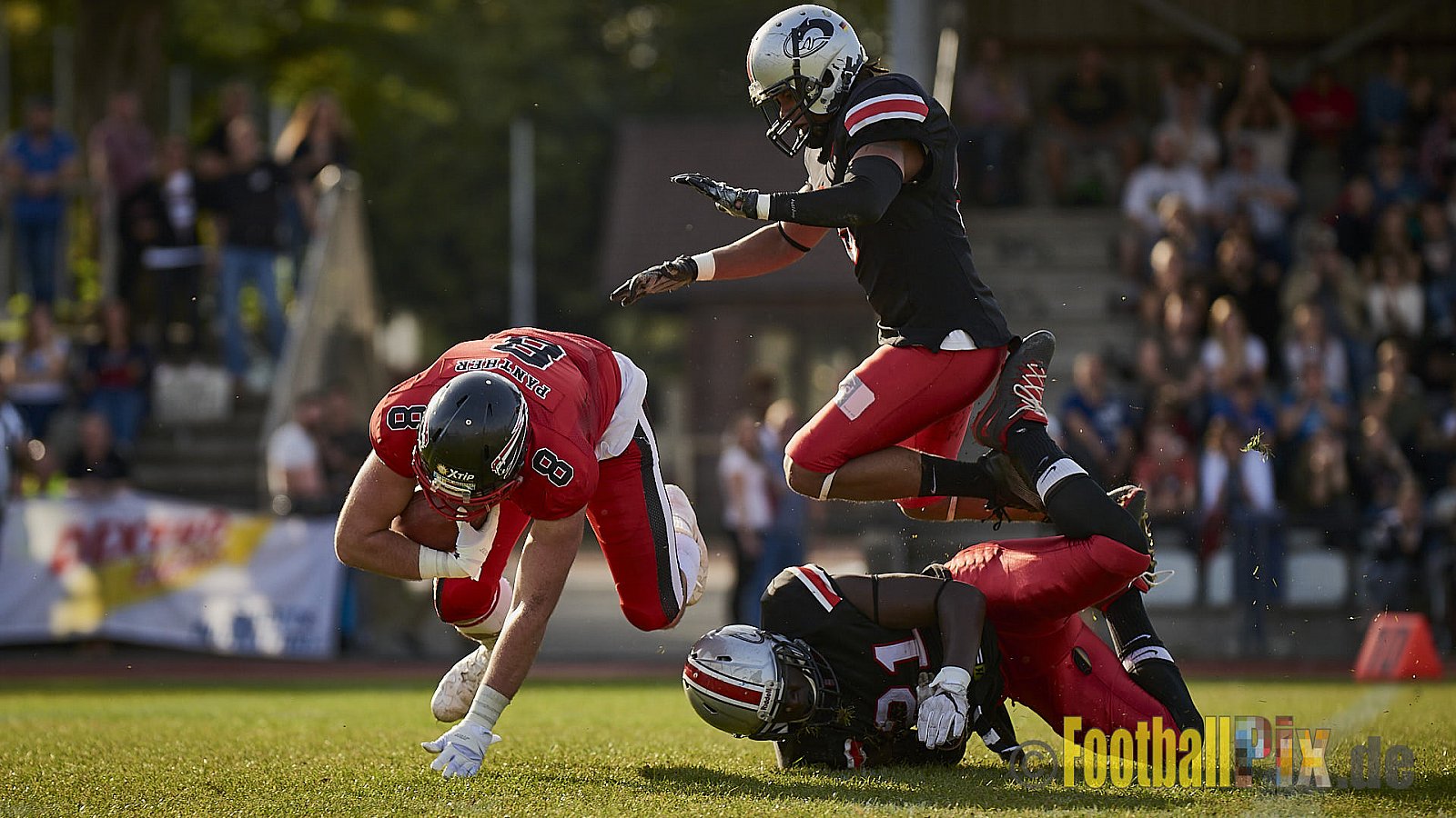 Düsseldorf Panther vs. Hamburg Huskies - RelegationDPantherVsHamburgHuskies
