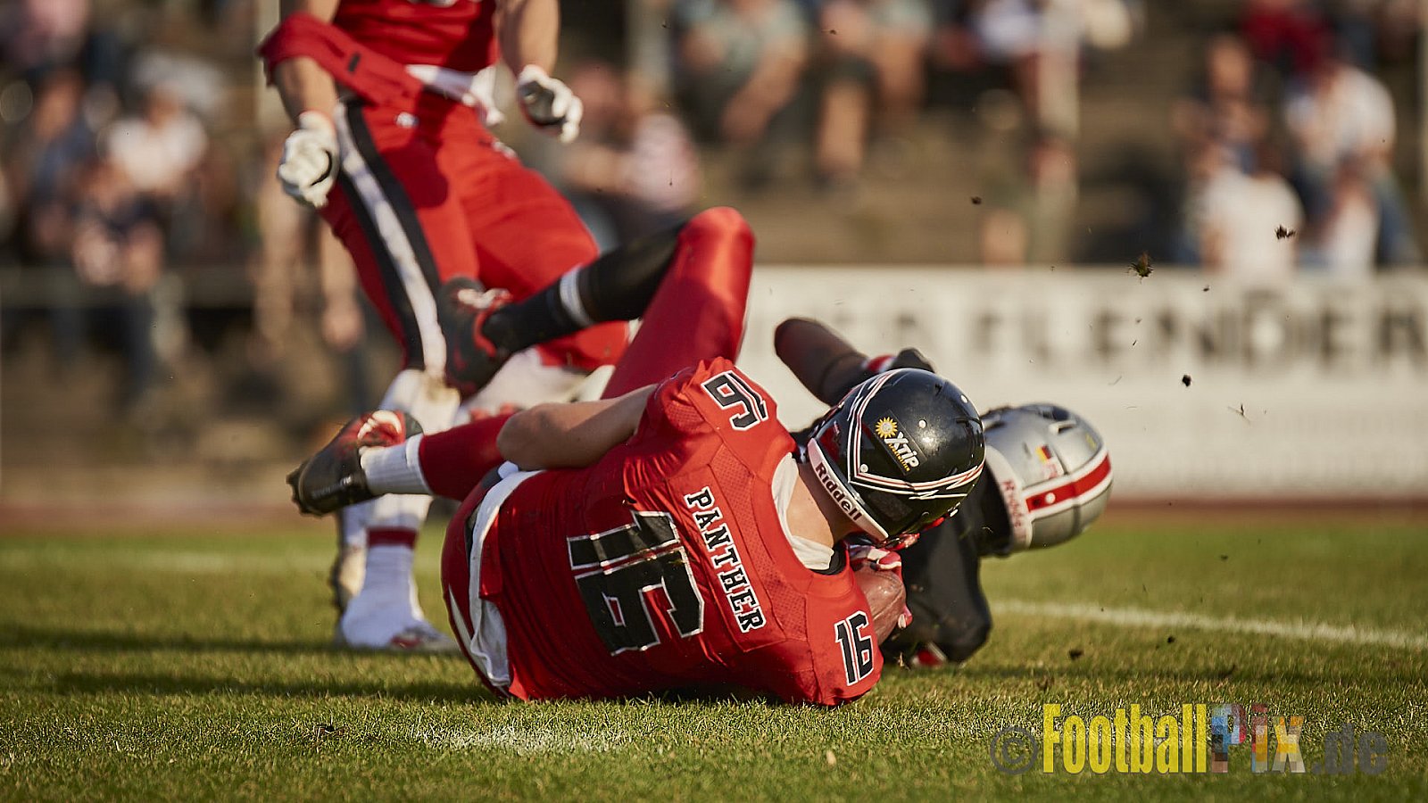 Düsseldorf Panther vs. Hamburg Huskies - RelegationDPantherVsHamburgHuskies