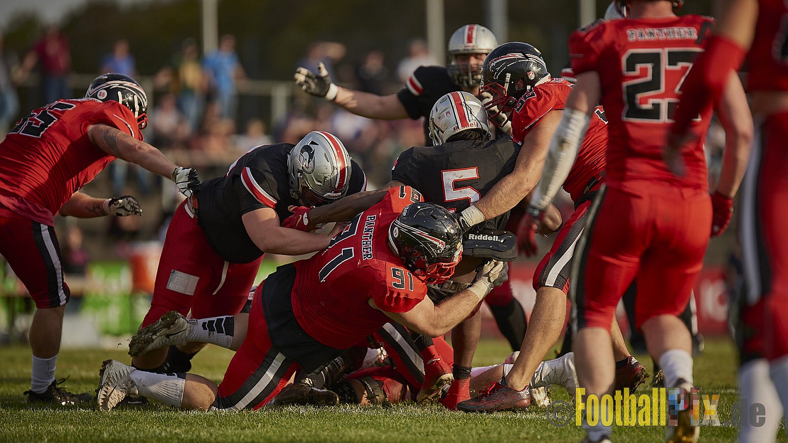 Düsseldorf Panther vs. Hamburg Huskies - RelegationDPantherVsHamburgHuskies