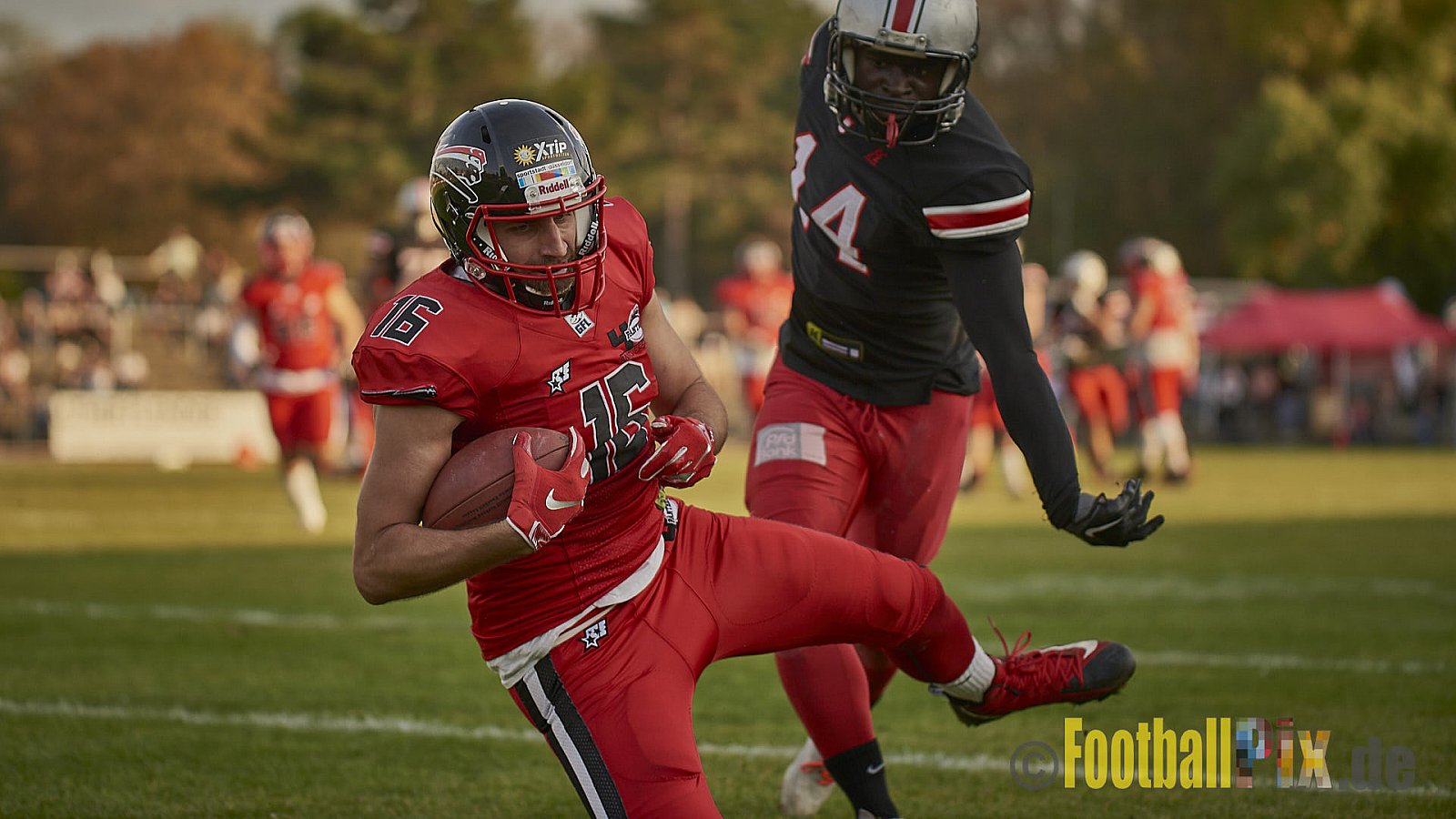 Düsseldorf Panther vs. Hamburg Huskies - RelegationDPantherVsHamburgHuskies