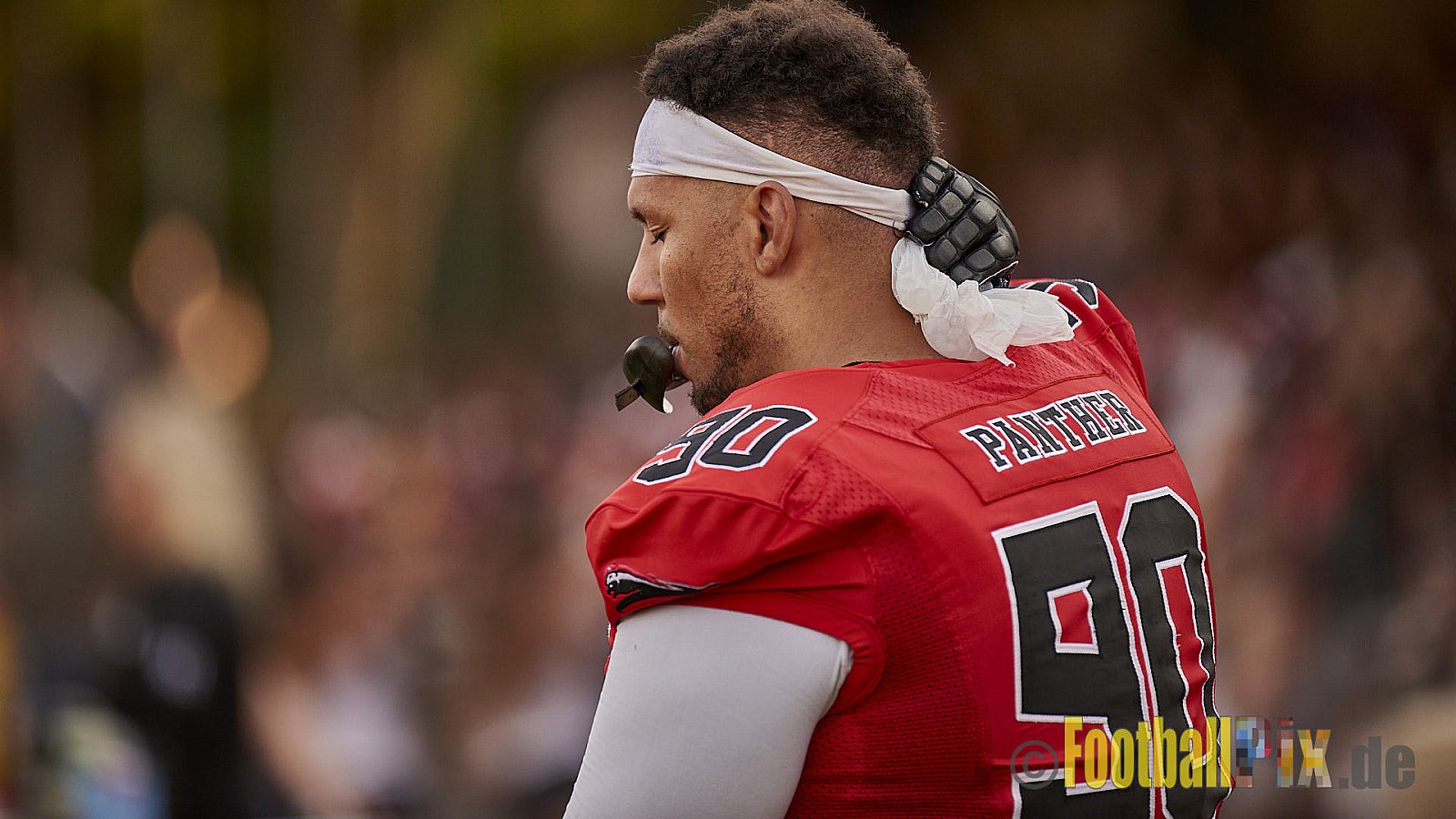 Düsseldorf Panther vs. Hamburg Huskies - RelegationDPantherVsHamburgHuskies