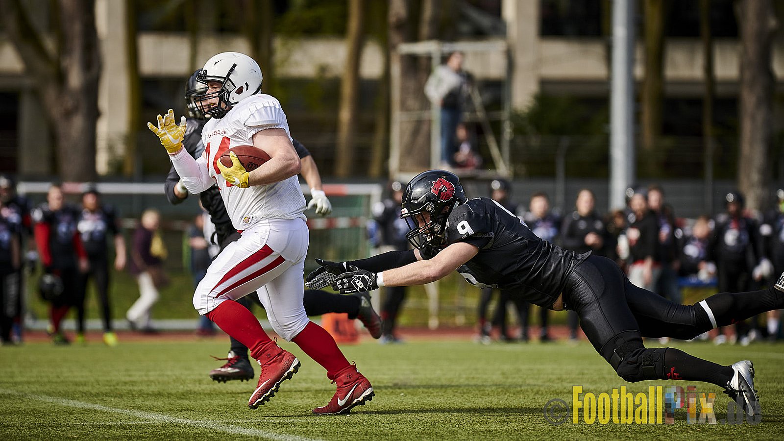 Cologne Falcons Prospects vs. Rhein-Main Rockets Offenbach - CologneFalconsProspectsVsRheinMainRocketsOffenbach