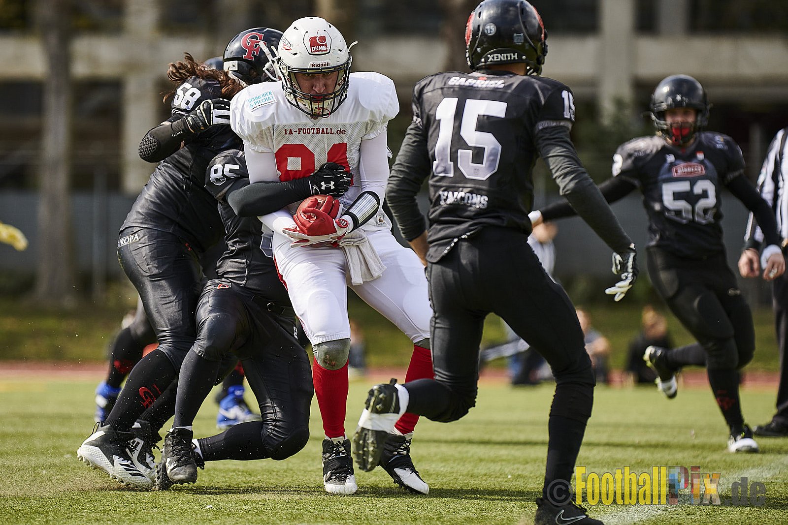 Cologne Falcons Prospects vs. Rhein-Main Rockets Offenbach - CologneFalconsProspectsVsRheinMainRocketsOffenbach