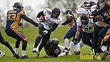 Kevelaer Kings vs. Cologne Falcons Prospects - KevelaerKingsVsCologneFalconsProspects