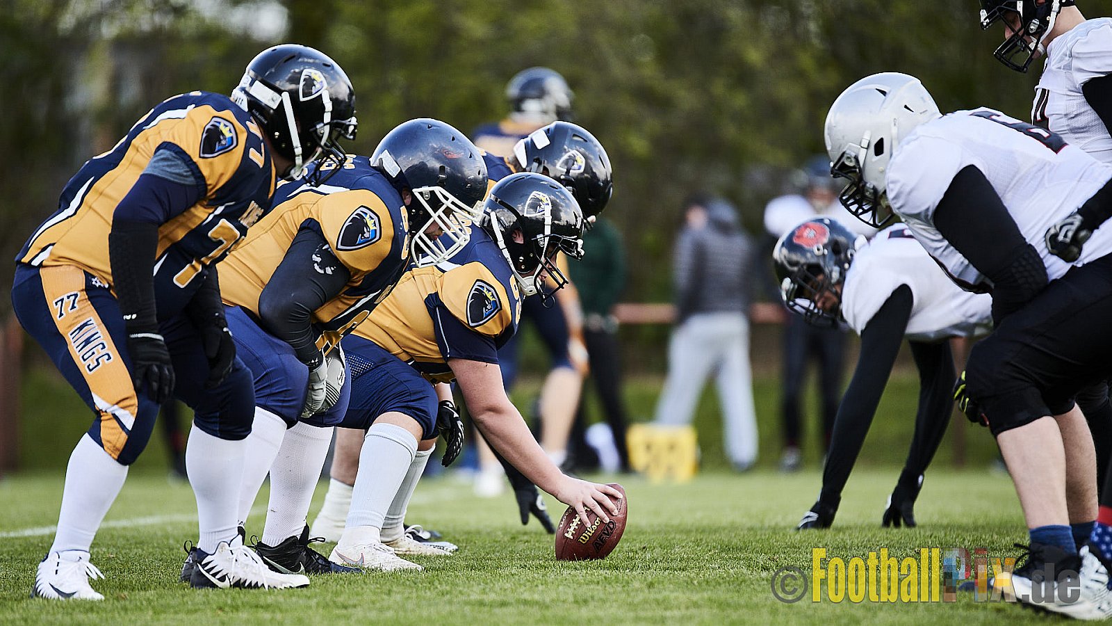 Kevelaer Kings vs. Cologne Falcons Prospects - KevelaerKingsVsCologneFalconsProspects