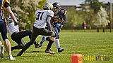 Kevelaer Kings vs. Cologne Falcons Prospects - KevelaerKingsVsCologneFalconsProspects