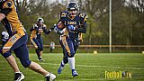 Kevelaer Kings vs. Cologne Falcons Prospects - KevelaerKingsVsCologneFalconsProspects