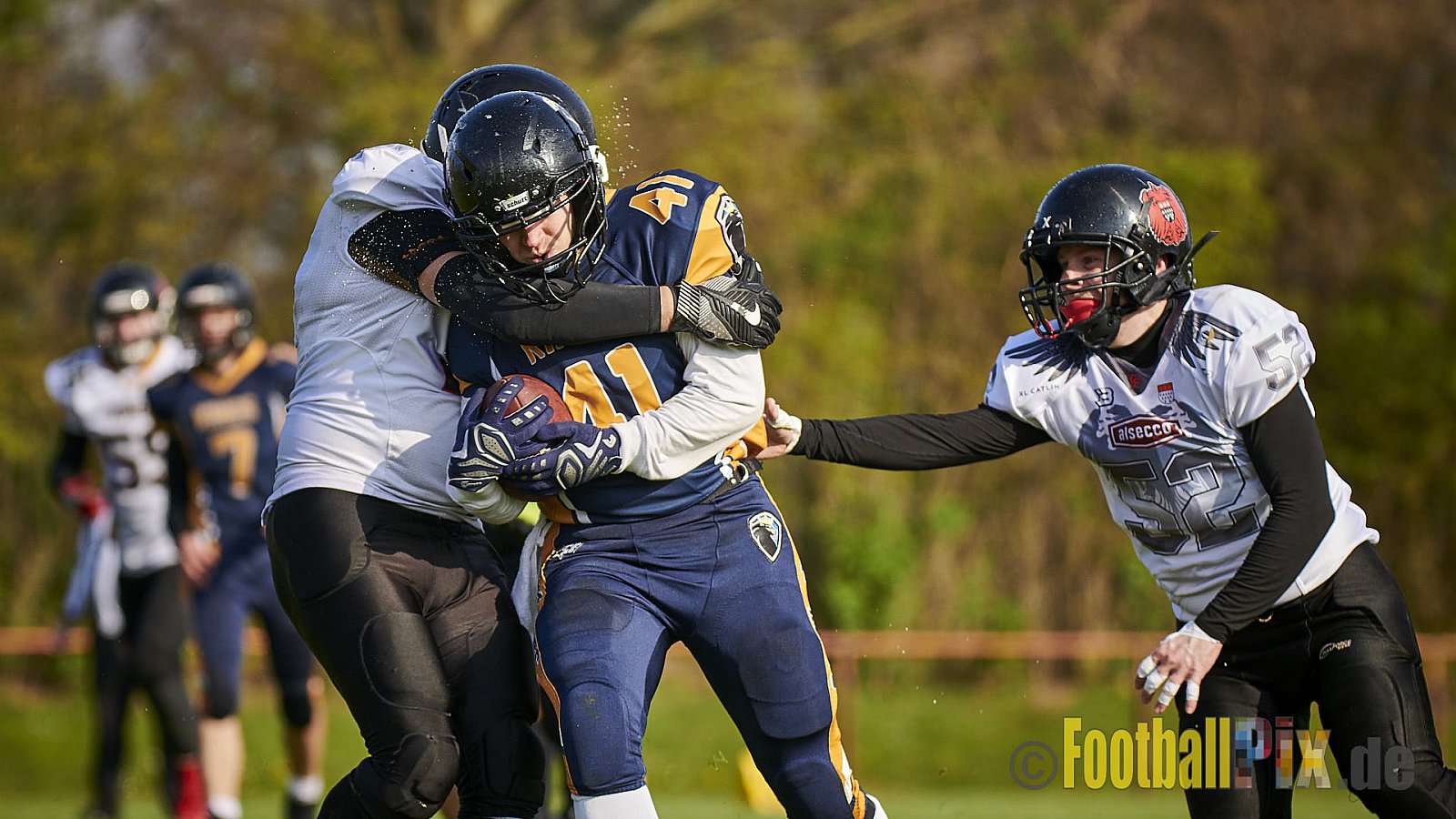 Kevelaer Kings vs. Cologne Falcons Prospects - KevelaerKingsVsCologneFalconsProspects