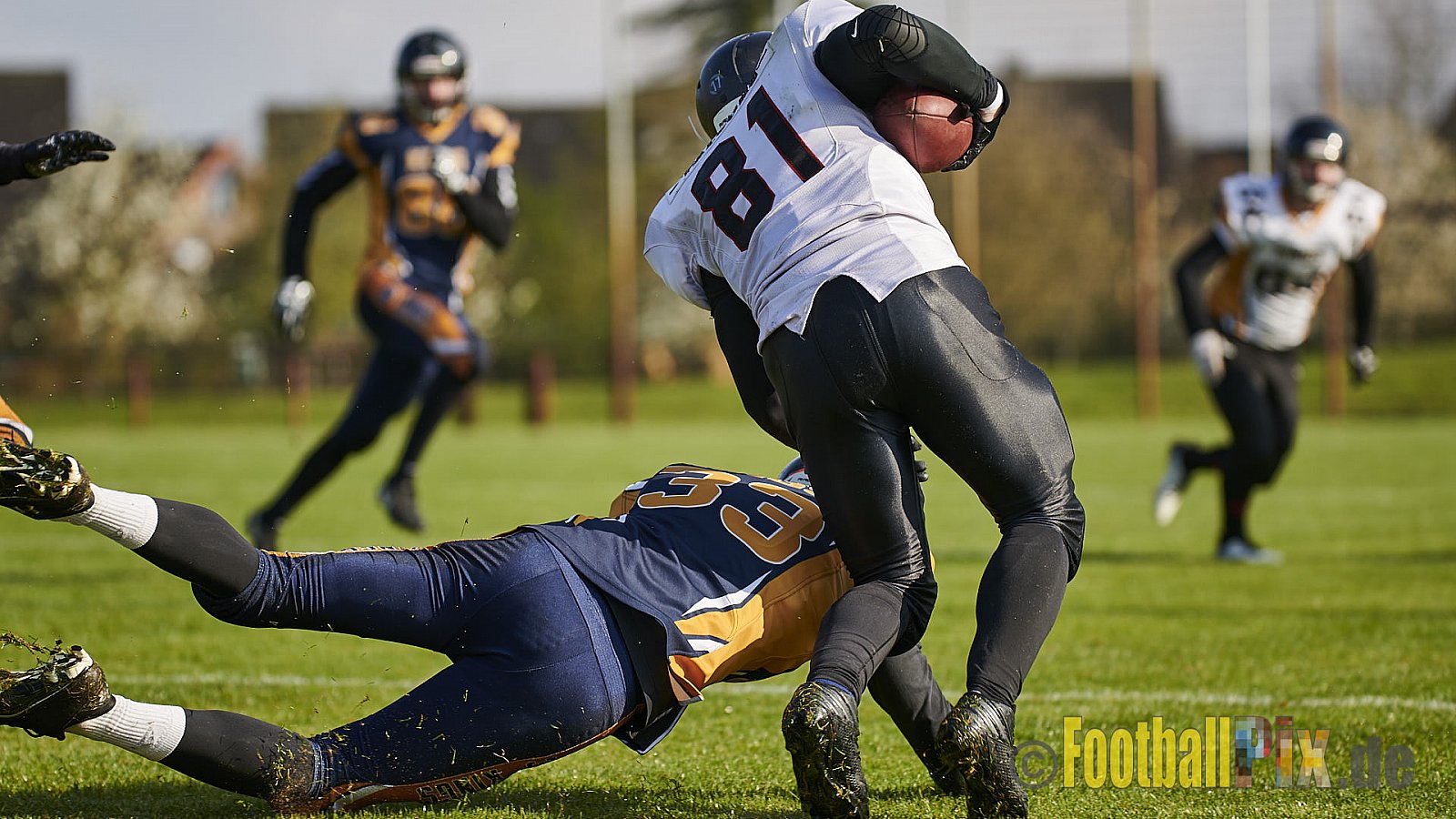 Kevelaer Kings vs. Cologne Falcons Prospects - KevelaerKingsVsCologneFalconsProspects