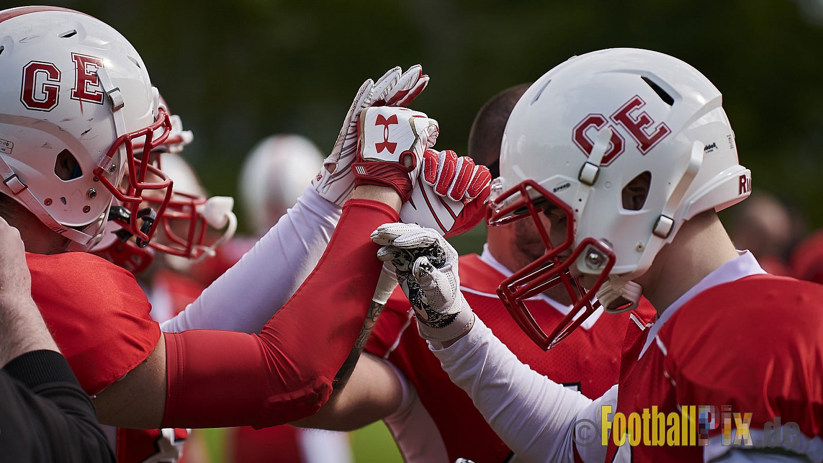 Gelsenkirchen Devils vs. Essen Assindia Cardinals - GelsenkirchenDevilsVsEssenAssindiaCardinals