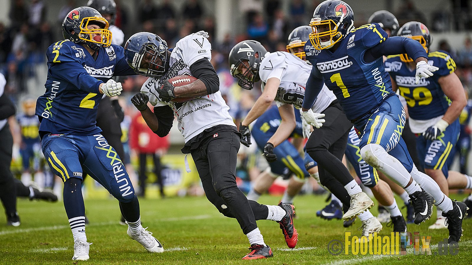 Essen Assindia Cardinals vs. Aachen Vampires - EssenAssindiaCardinalsVsAachenVampires