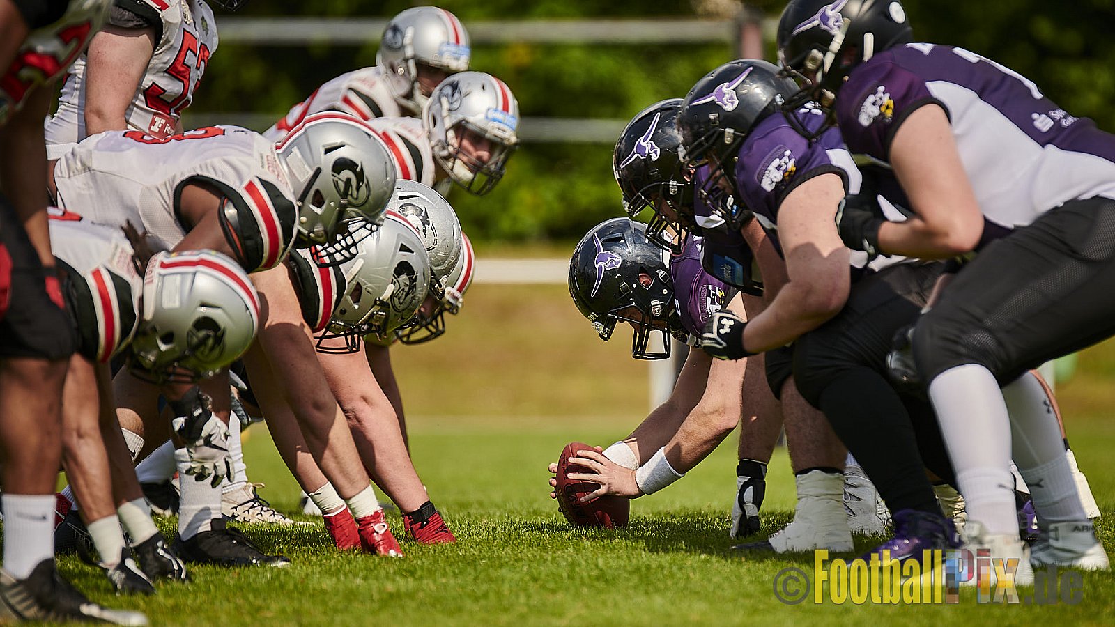 Langenfeld Longhorns vs. Hamburg Huskies - LangenfeldLonghornsVsHamburgHuskies