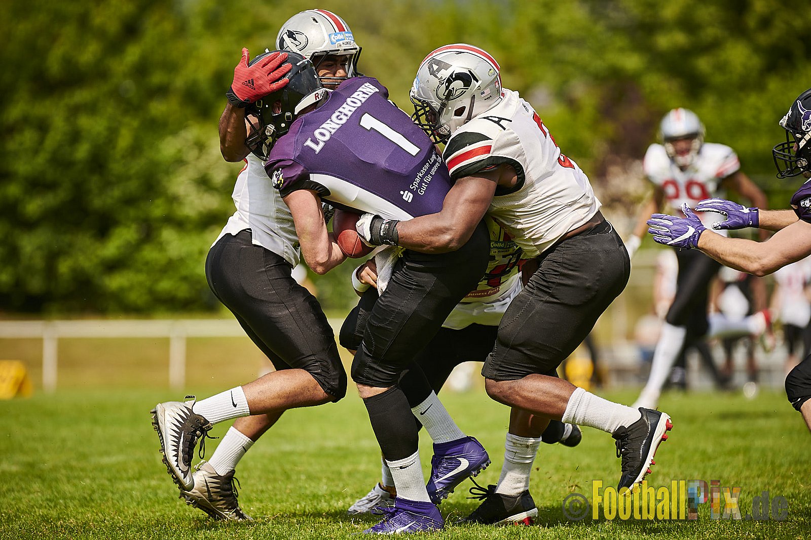 Langenfeld Longhorns vs. Hamburg Huskies - LangenfeldLonghornsVsHamburgHuskies