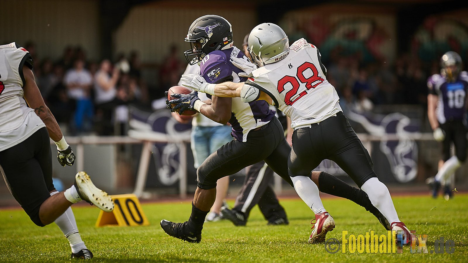 Langenfeld Longhorns vs. Hamburg Huskies - LangenfeldLonghornsVsHamburgHuskies