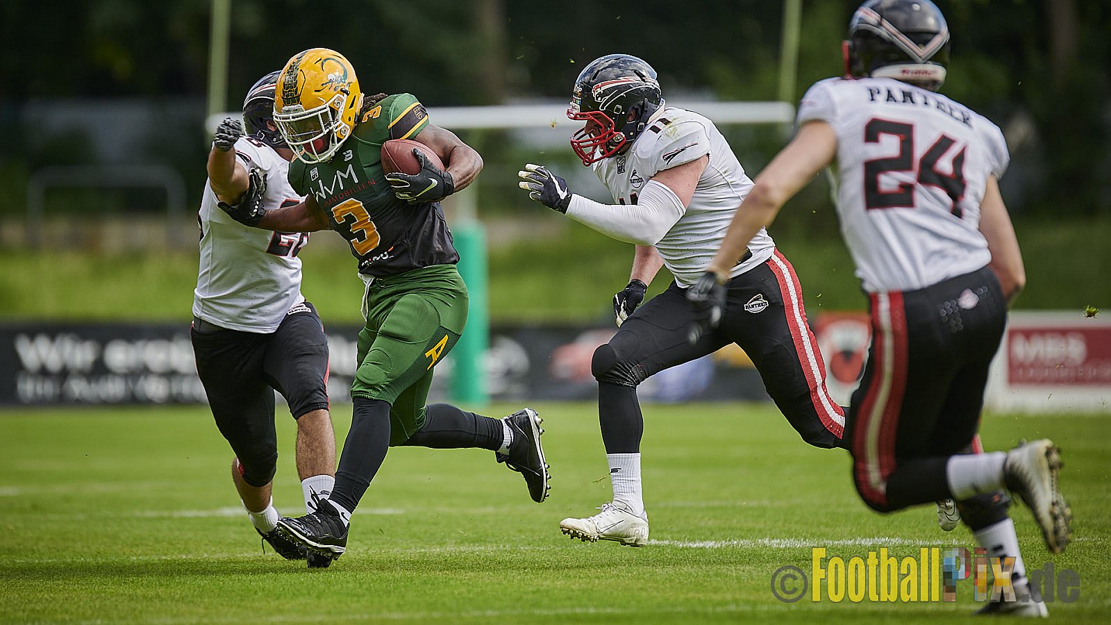 Cologne Crocodiles vs. Düsseldorf Panther - CologneCrocodilesVsDPanther