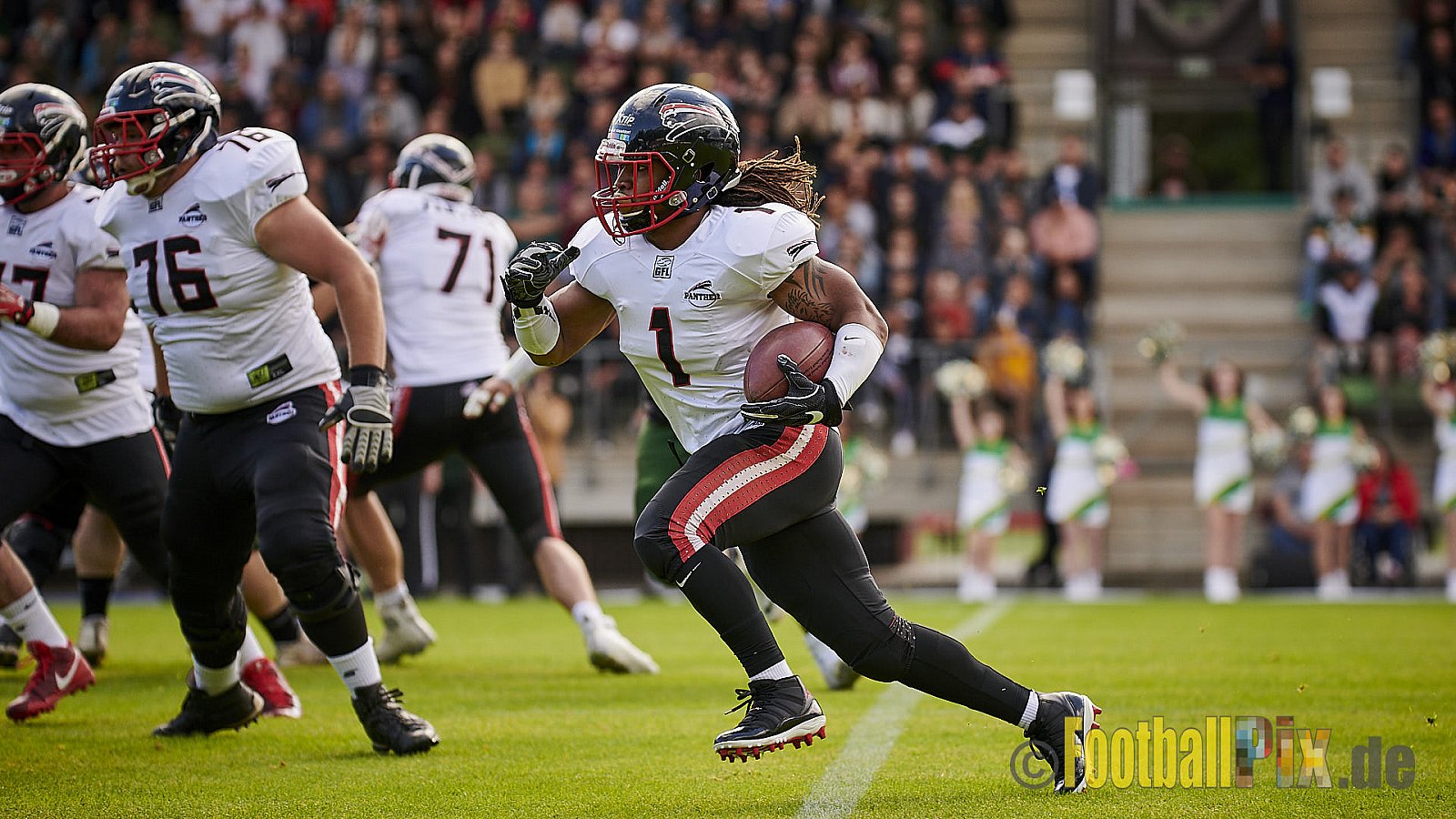 Cologne Crocodiles vs. Düsseldorf Panther - CologneCrocodilesVsDPanther