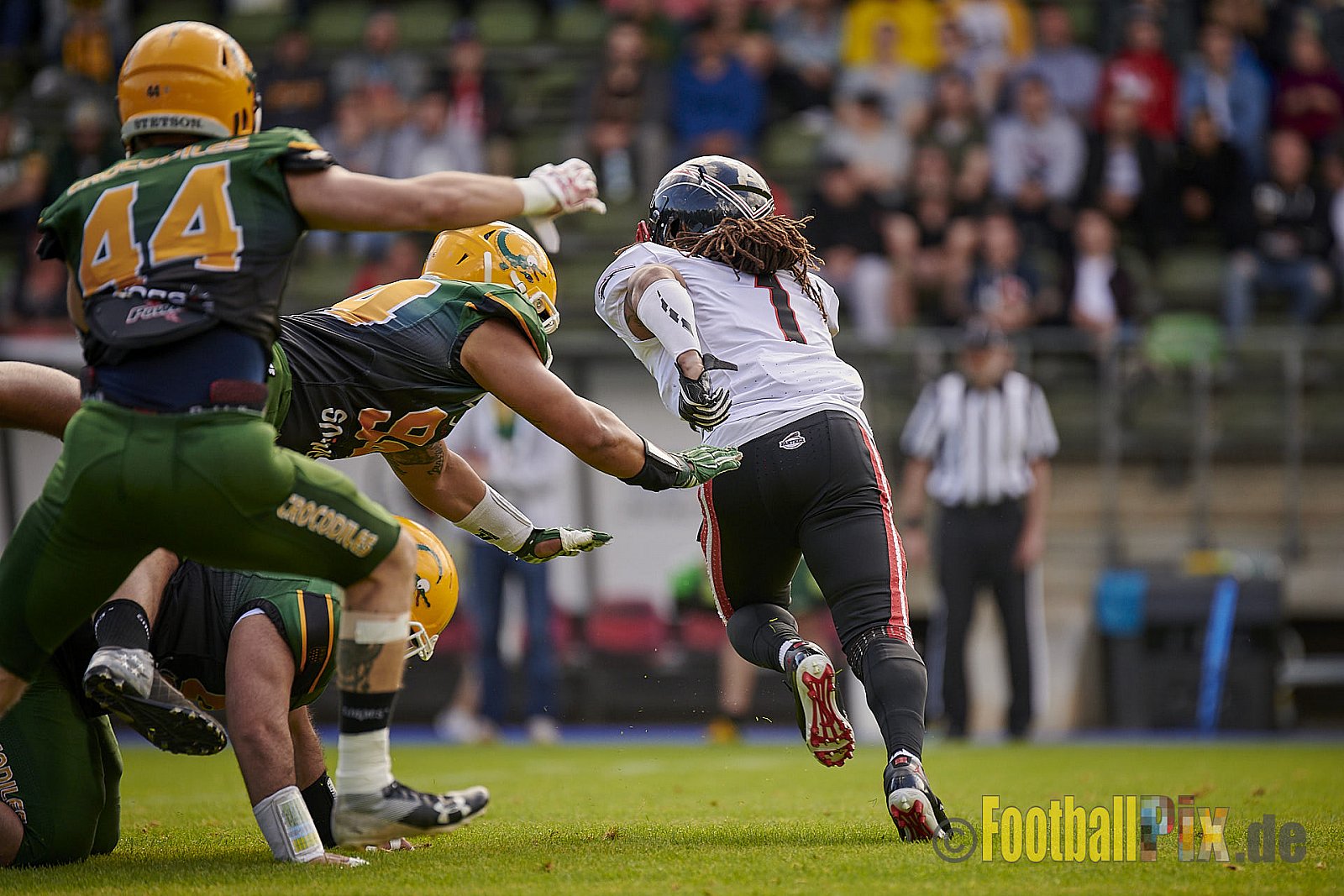 Cologne Crocodiles vs. Düsseldorf Panther - CologneCrocodilesVsDPanther
