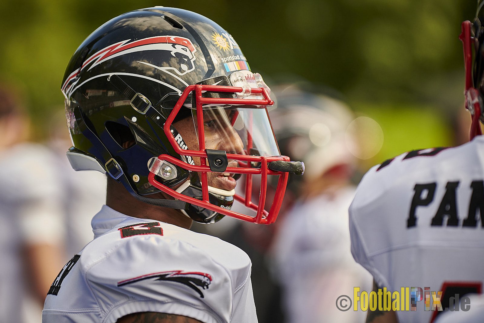 Cologne Crocodiles vs. Düsseldorf Panther - CologneCrocodilesVsDPanther