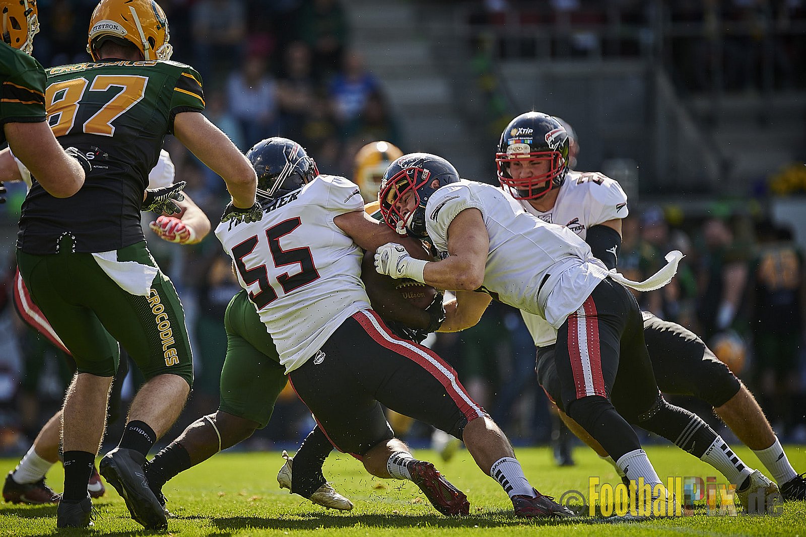 Cologne Crocodiles vs. Düsseldorf Panther - CologneCrocodilesVsDPanther