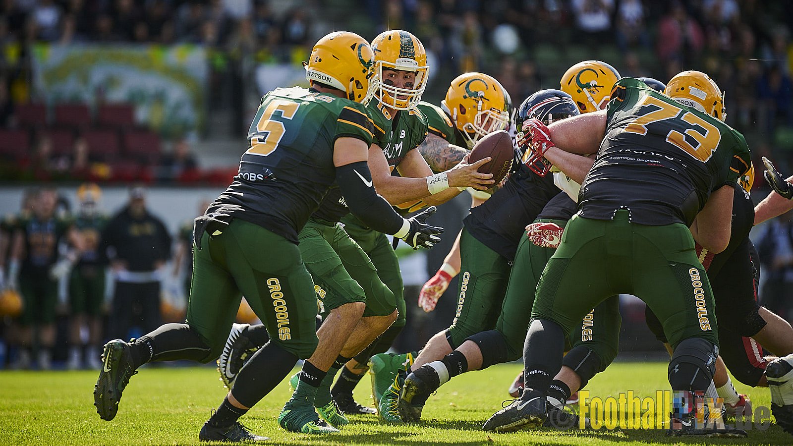 Cologne Crocodiles vs. Düsseldorf Panther - CologneCrocodilesVsDPanther