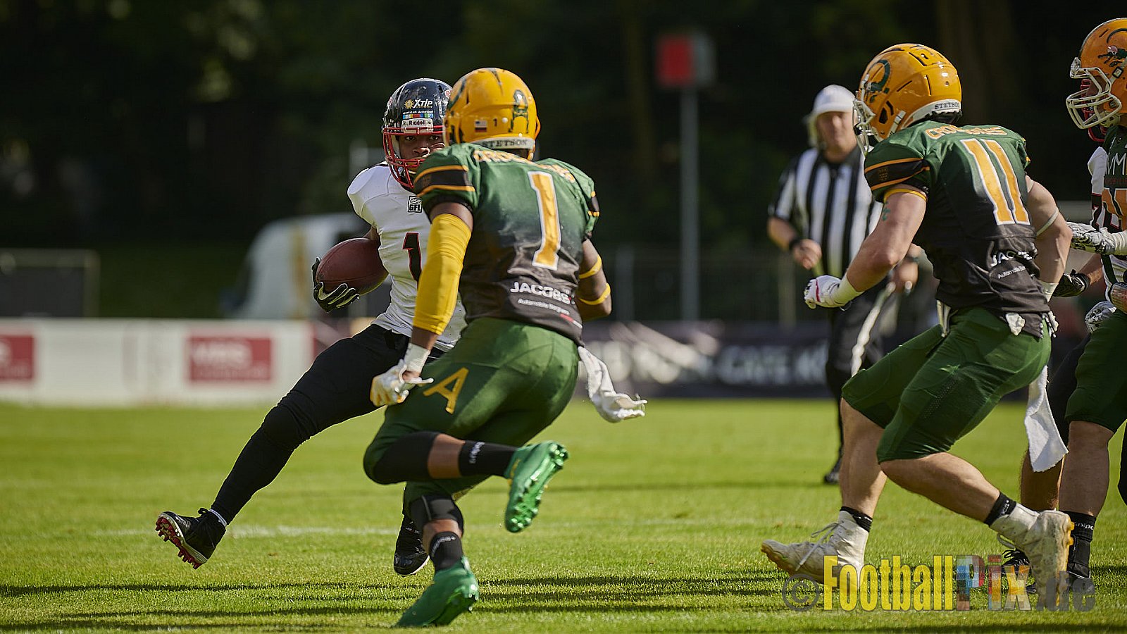 Cologne Crocodiles vs. Düsseldorf Panther - CologneCrocodilesVsDPanther