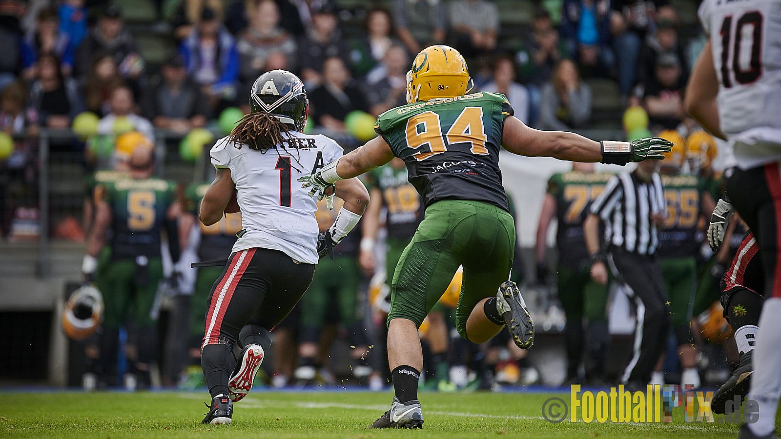 Cologne Crocodiles vs. Düsseldorf Panther - CologneCrocodilesVsDPanther