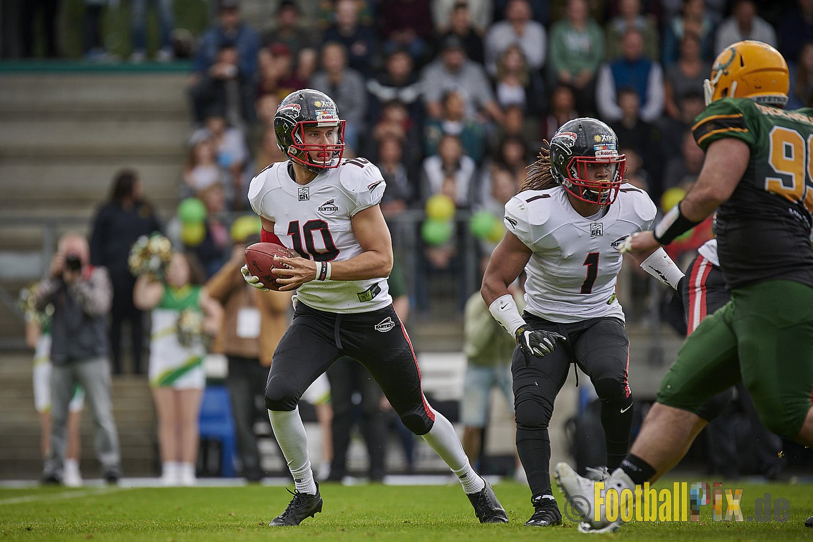 Cologne Crocodiles vs. Düsseldorf Panther - CologneCrocodilesVsDPanther