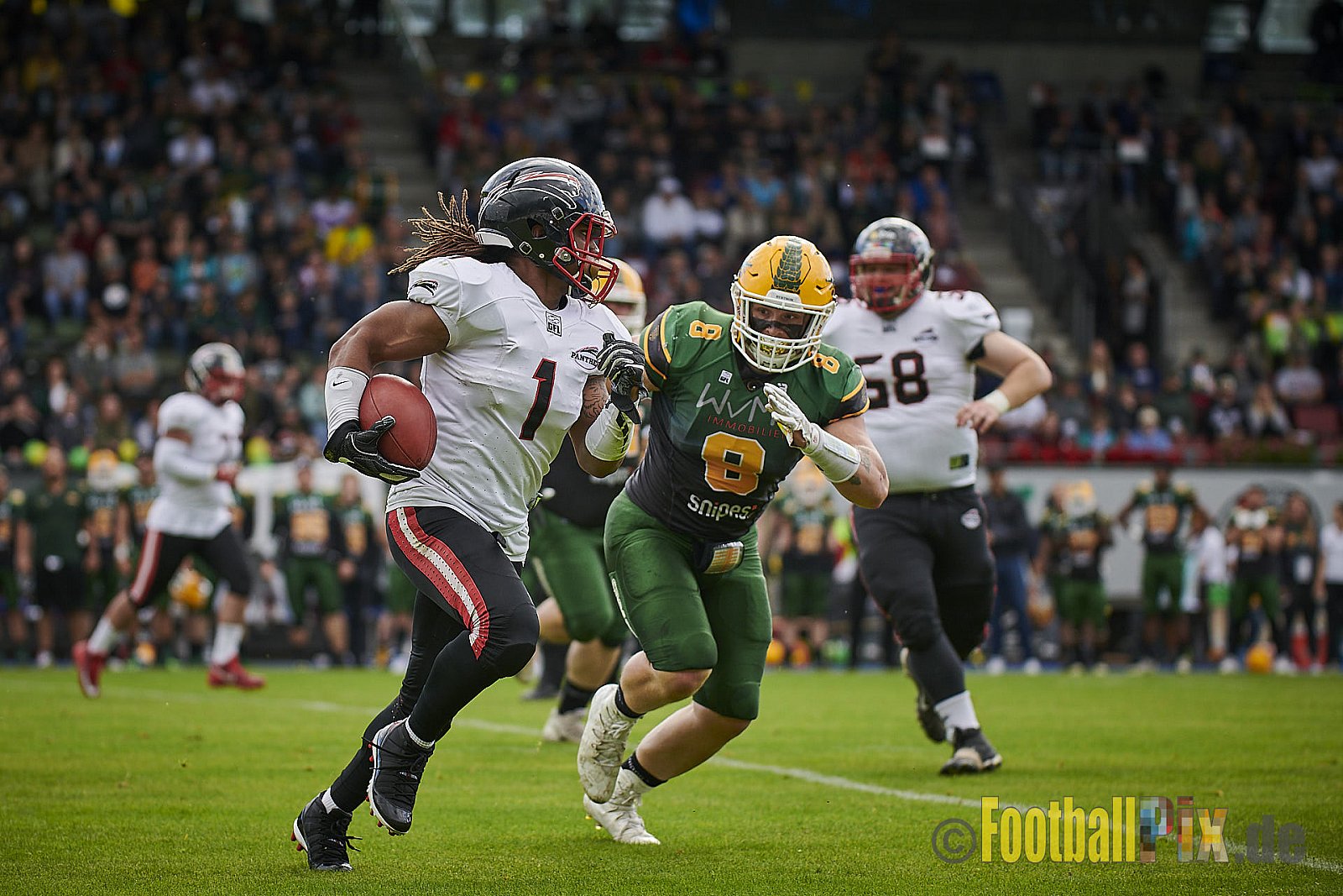 Cologne Crocodiles vs. Düsseldorf Panther - CologneCrocodilesVsDPanther