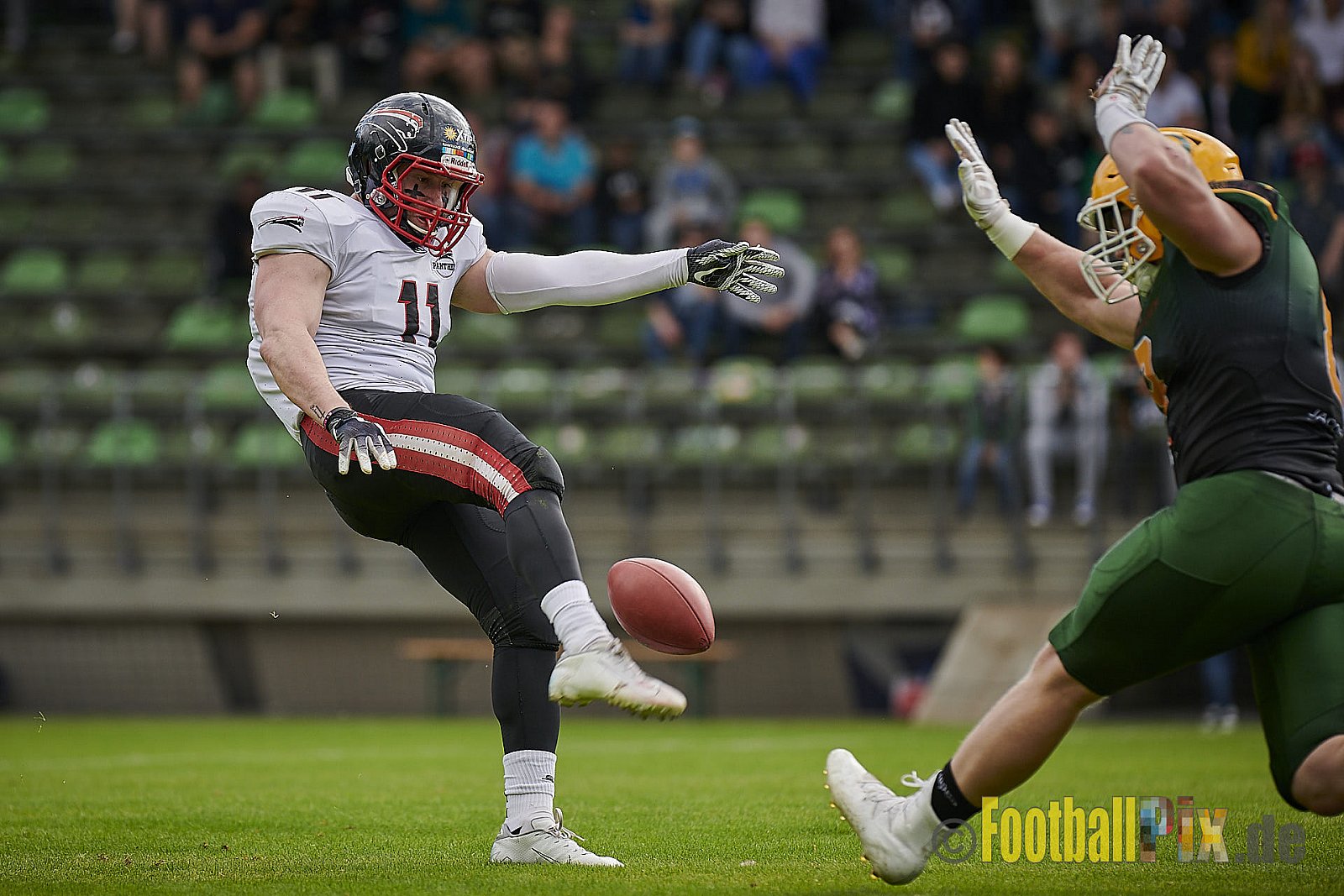 Cologne Crocodiles vs. Düsseldorf Panther - CologneCrocodilesVsDPanther