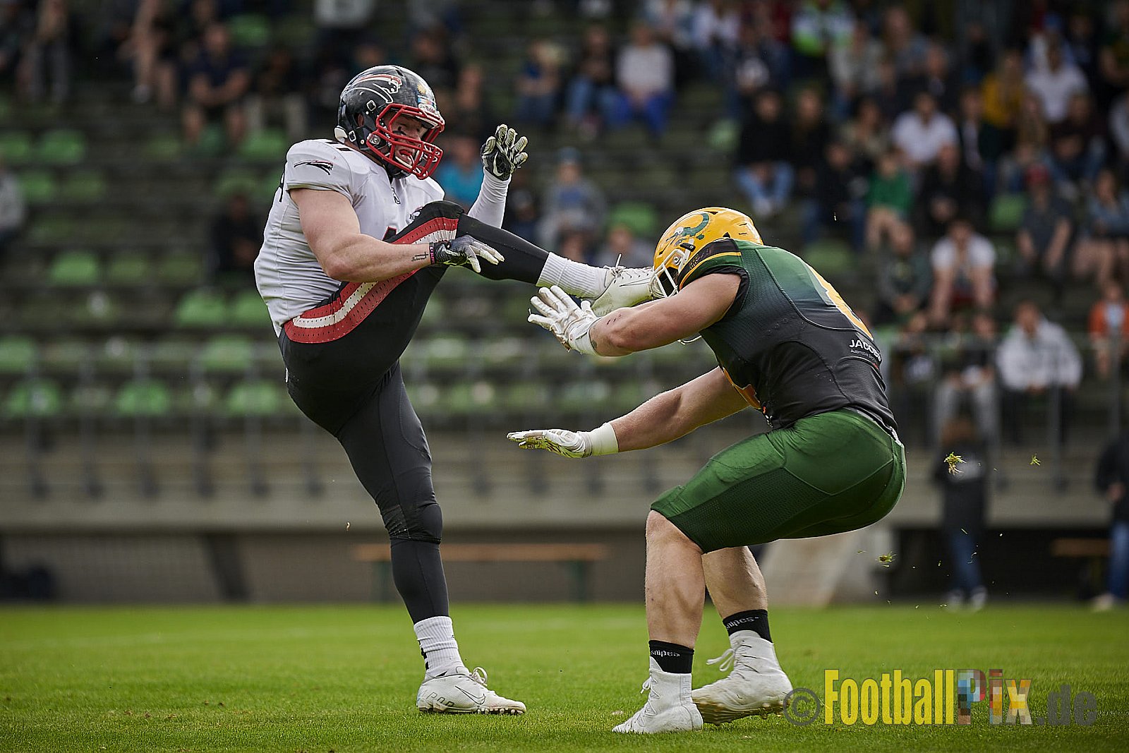 Cologne Crocodiles vs. Düsseldorf Panther - CologneCrocodilesVsDPanther